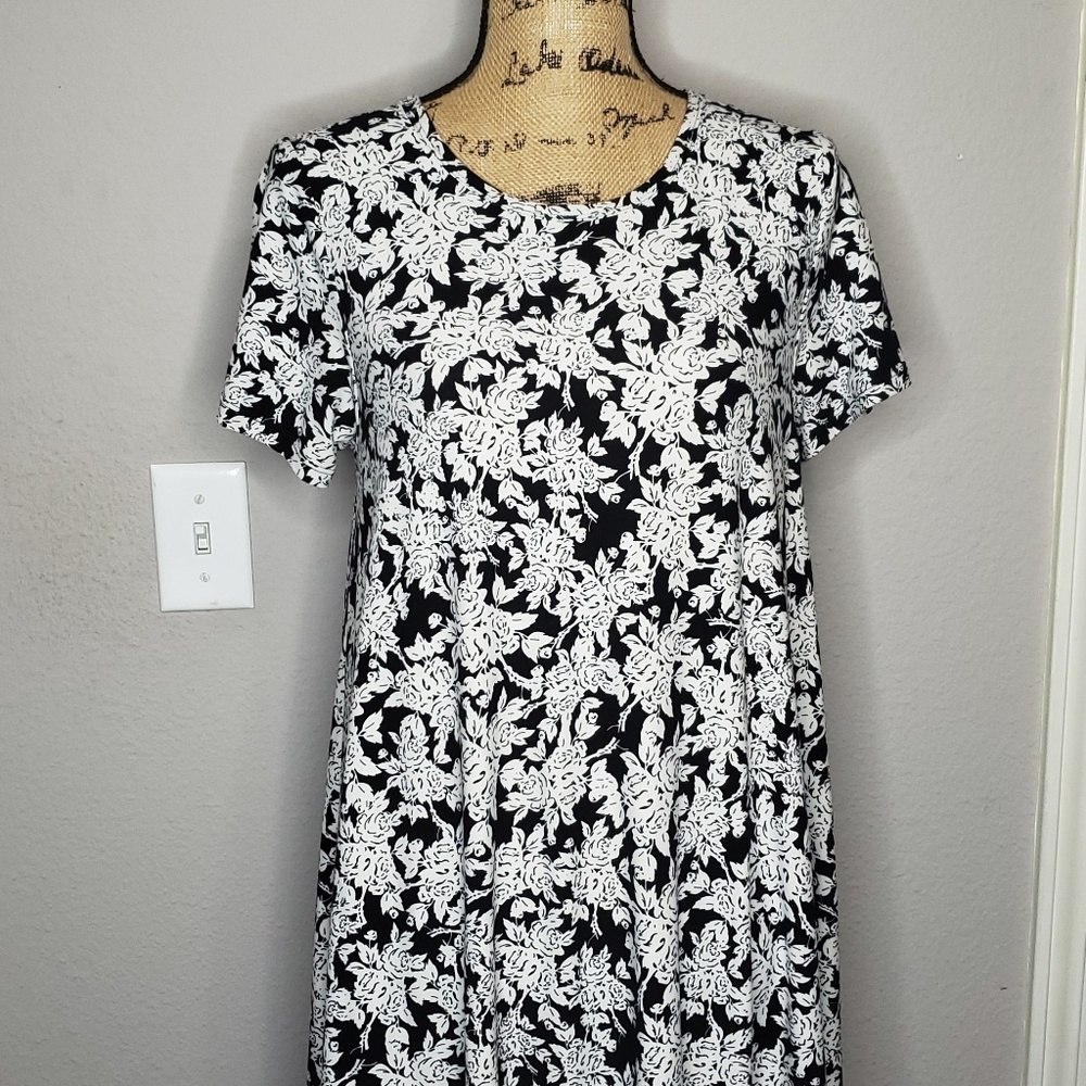 Gently used Carly Swing Dress